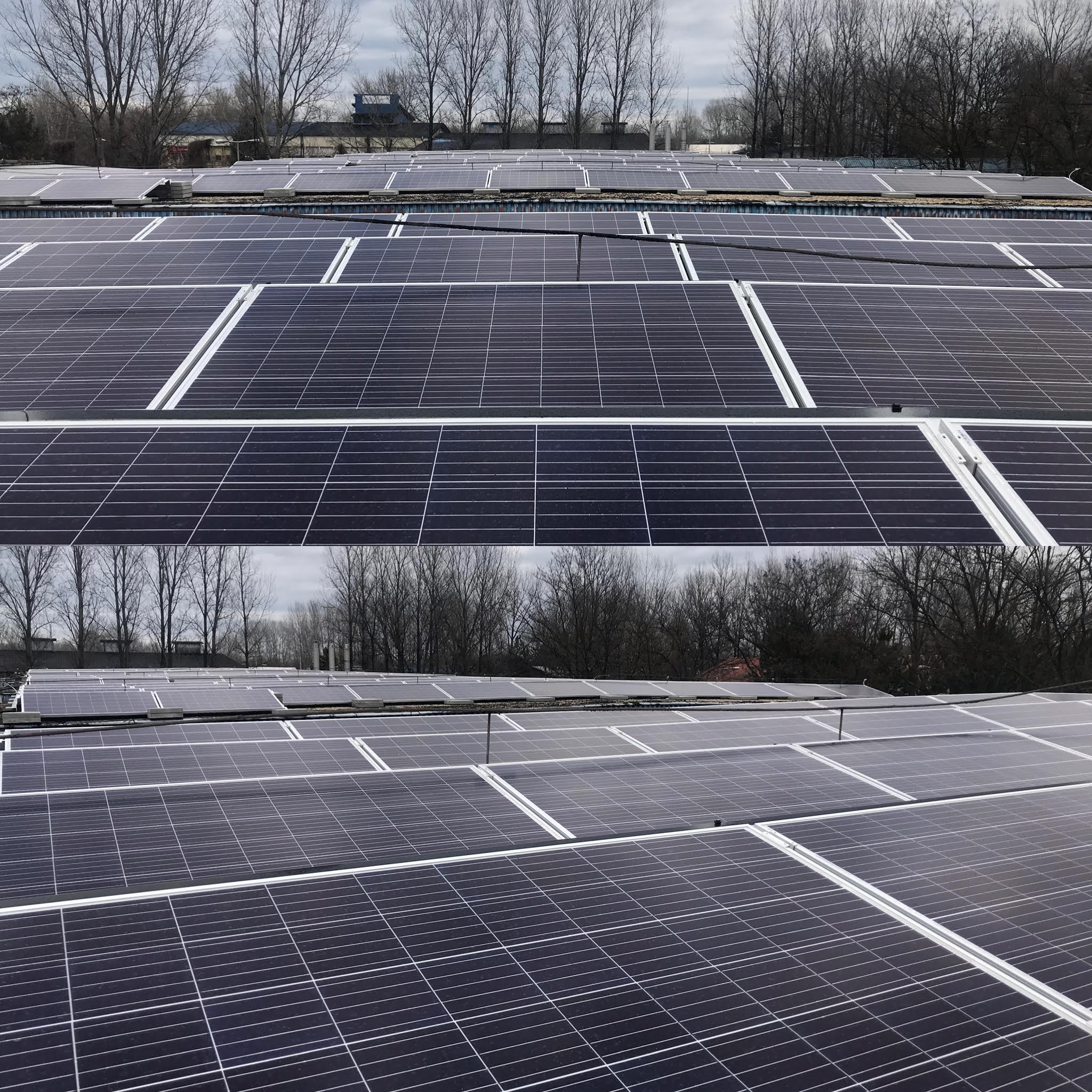 A környezettudatos életmód nagyon fontos.