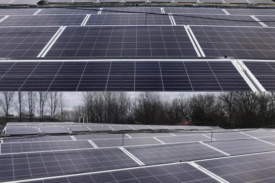 A környezettudatos életmód nagyon fontos.